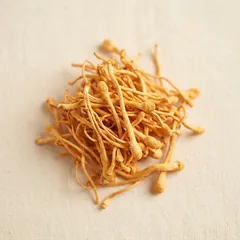 Cordyceps